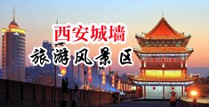 大吊爆操菊花男同中国陕西-西安城墙旅游风景区
