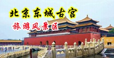 美女被操的直叫中国北京-东城古宫旅游风景区